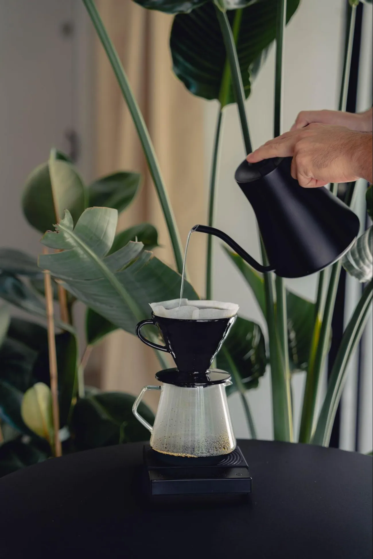V60: claridad y control en cada taza